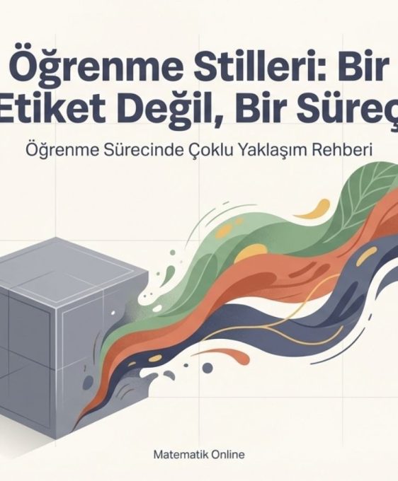 ogrenme-stilleri-nedir-ogrenme-surecinde-coklu-yaklasim-nasil-olur